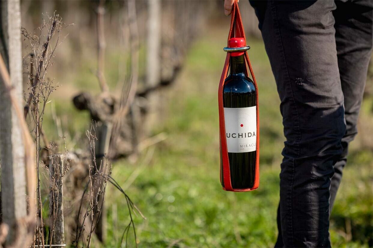 aoc-medoc-haut-medoc-cuvee-miracle